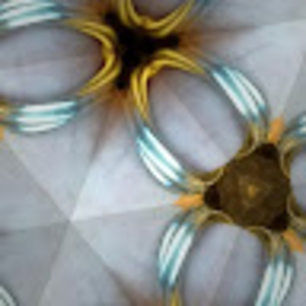 Meet your Posher, Suzanne